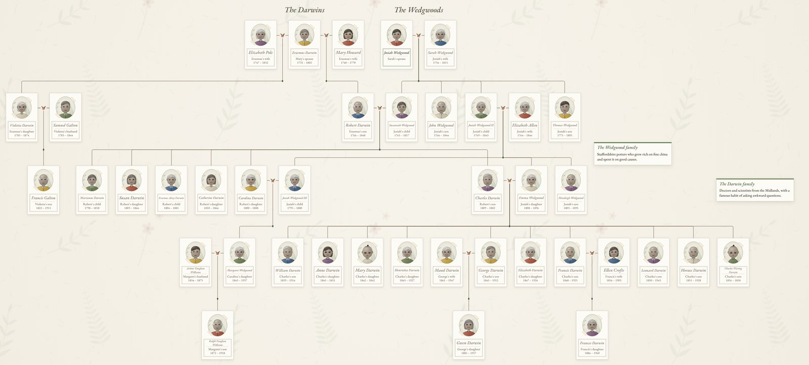 Darwin–Wedgwood family tree: Erasmus Darwin and his two wives, Josiah and Sarah Wedgwood, their children Robert Darwin and Susannah Wedgwood, Charles Darwin and Emma Wedgwood and their ten children, and grandchildren including Ralph Vaughan Williams and Gwen Raverat